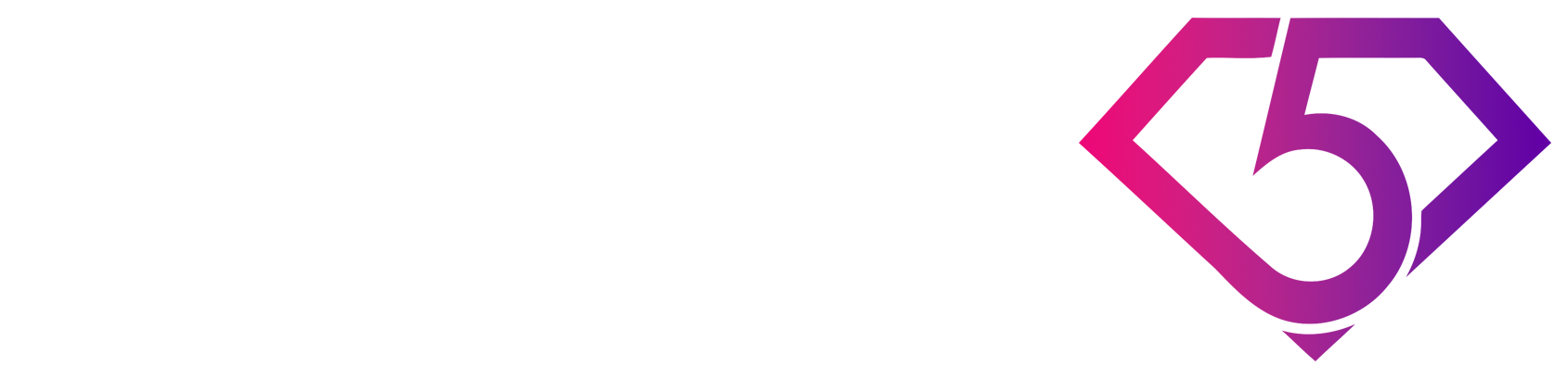 5 Diamond Concierge Services